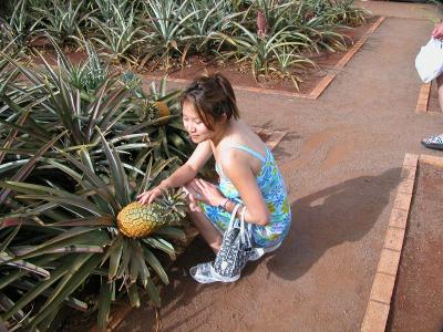 gotta love that pineapple