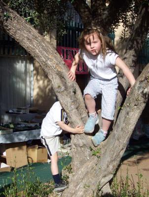 Tree Huggers