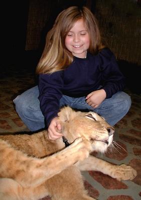 A Lion Tickle Pc080568.jpg
