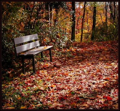 Trailside Rest 016.jpg