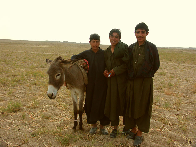 Local boys with their donkey 15 November, 2004