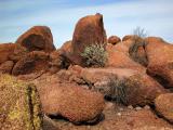 Red rocks