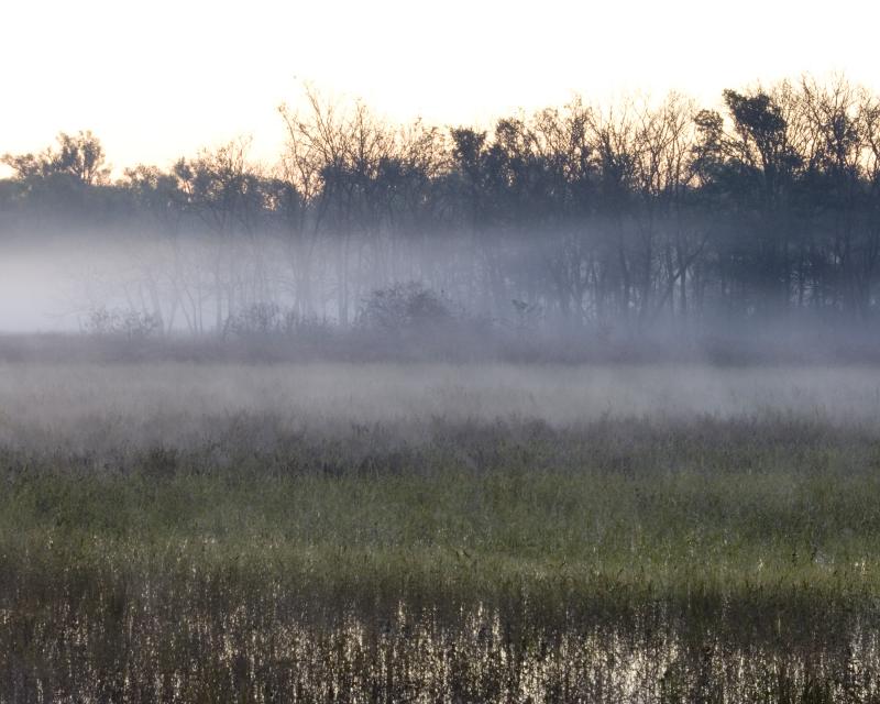 2004 11 06 PA0004 Morning Fog