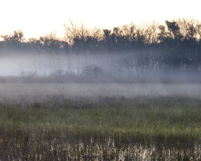 2004 11 06 PA0004 Morning Fog