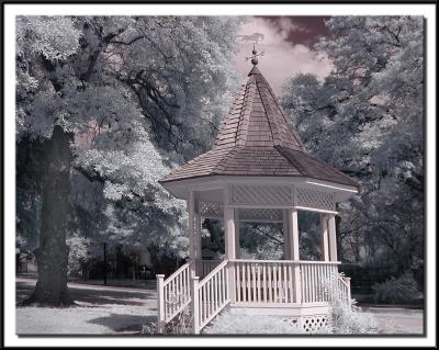 IR207fr.jpg