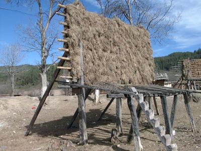 Food Drying Platform 2青棵架