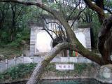 Butterfly Spring 2<br />蝴蝶泉