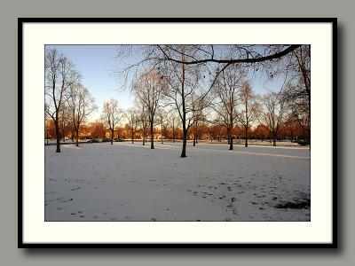 Looking Out The Front.jpg