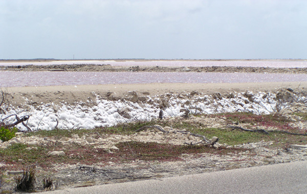 Salt pond