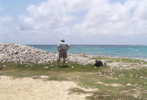 A pile of conch shells - nothing leaves this island!