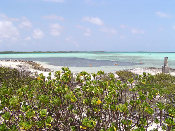 Lac Bay - A surfer's paradise!