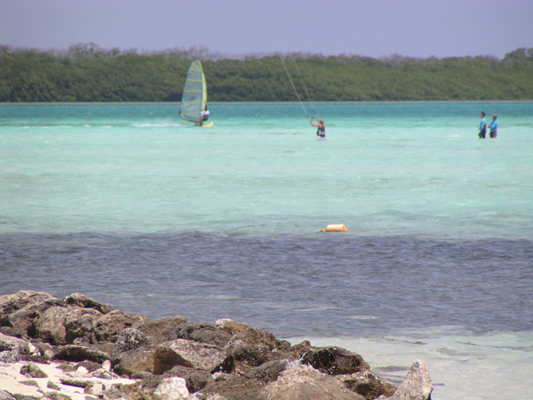 Lac Bay surfers