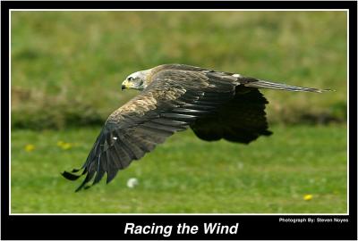 Racing the Wind