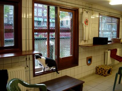 The Poezenboot's inhabitants have their own little canalside balcony.