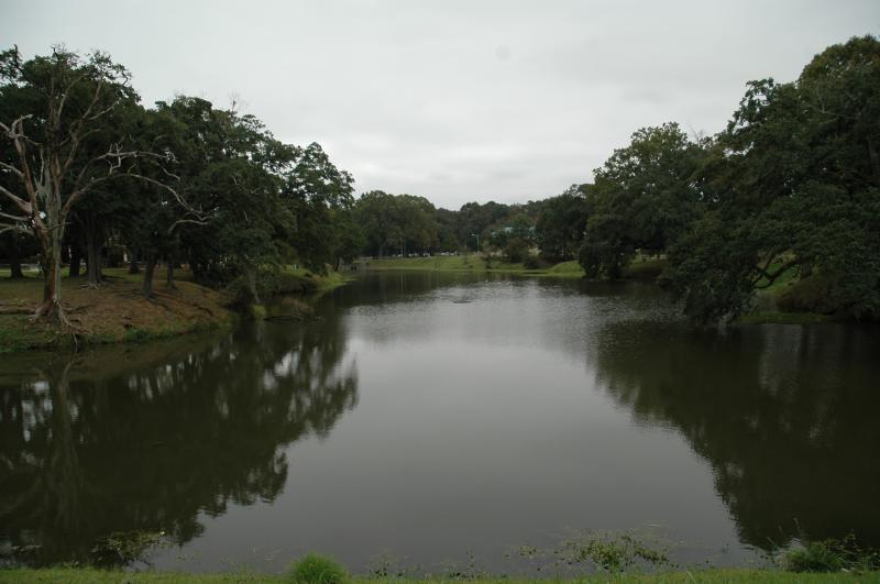 DSC_5052.JPG