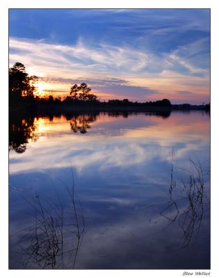 Reflections