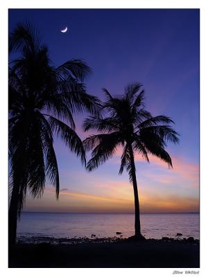 Miami - South Beach