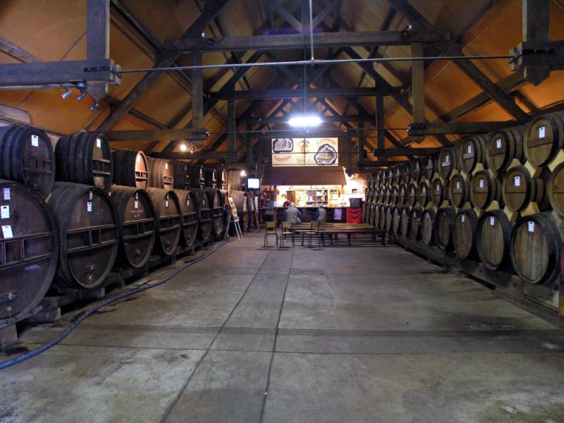 PA126991.jpg