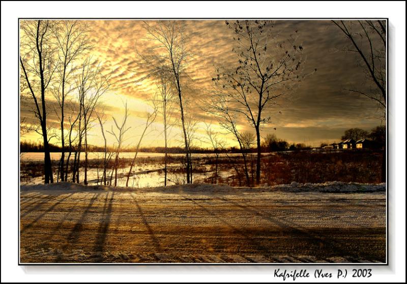 1st Place Winner!(tie)<br><br>Contre-Jour by Kafrifelle (Yves P.)