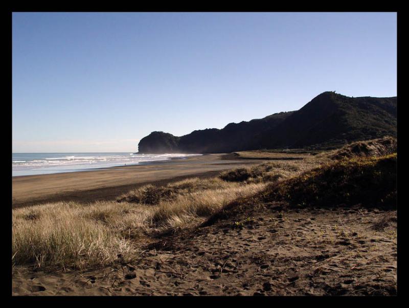 Piha NZ* <br>by David Clifford
