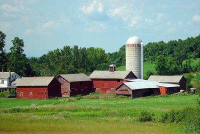 New York Farmstead*by Michael Buckman
