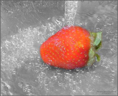 u19/stfchallenge/medium/16980342.DeliciousRed03.jpg