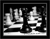 <br>A Royal Couple Reflecting<br><font size=1> by MFC</font></p>