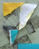 1st<br>Fragments by Dee Golden
