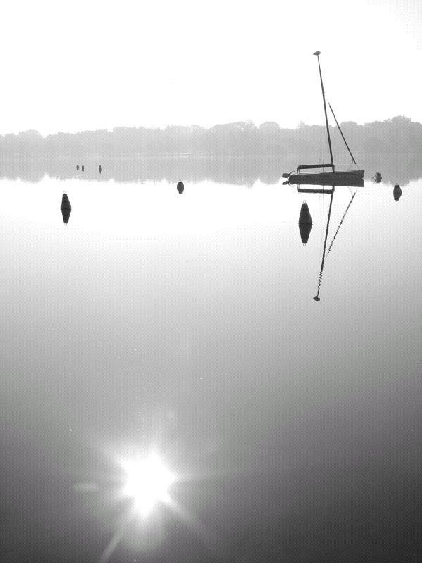 10th (tie)<br><br><B>Morning Sun</B><BR><FONT size1>by Shutter</FONT>