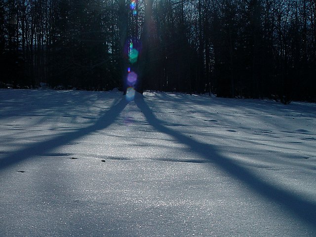 *Walk Toward the Light* by canadian_ann