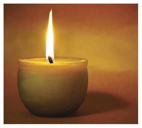 8th Place (tie)<br><B>Candle and Shadow</B><BR><Font size=2>by Vikas</FONT>