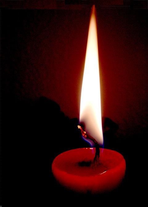 Lone Light by Dee Golden