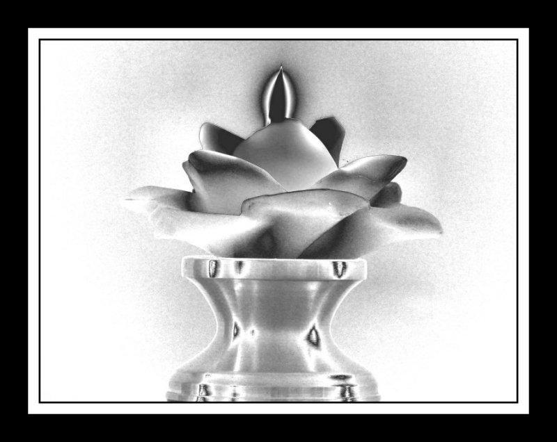 <b>A Rose by Any Other Name...</b><br><font size=1>by Bev Brink</font>