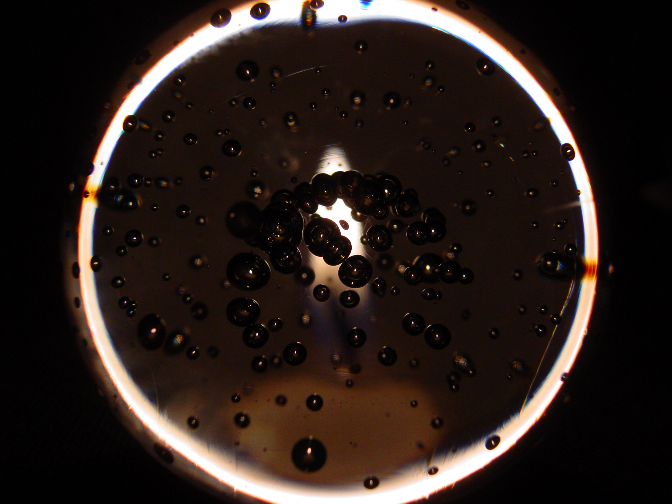 Backlit Bubblies by Jay (CopInNY)