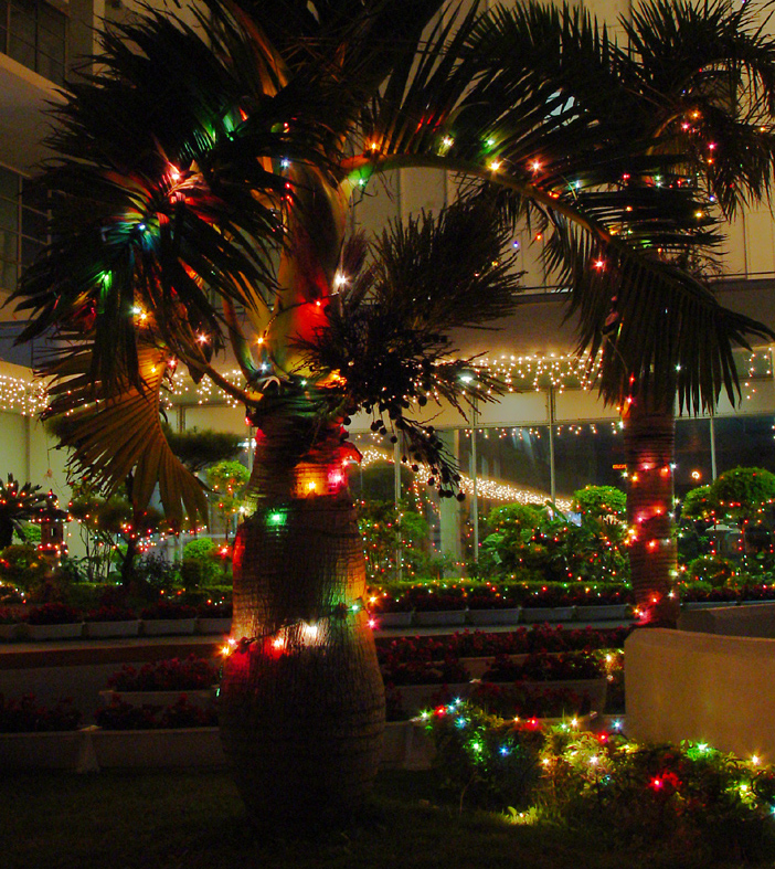 <b>Island Lights</b><br><font size=1>(not for voting)</font>