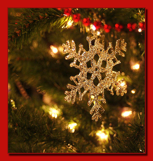<b>Golden Snowflake</b><br><font size=1>by Faye White</font>