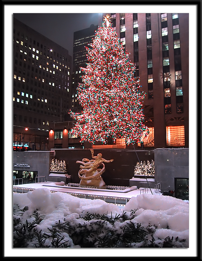 <b><i>4th - </i>Rockefeller Tree</b><br>by Jian