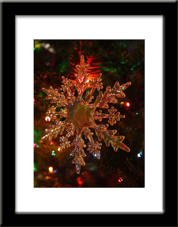 <b>Snowflake</b><br><font size=2><i>by Eric Lamont</i></font>