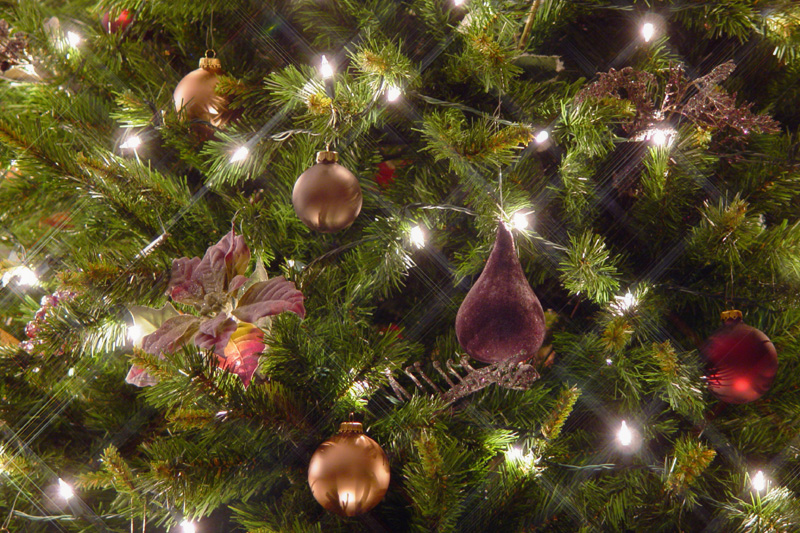 <b>Holiday Lights</b><br><font size=2>by Tim Lauro