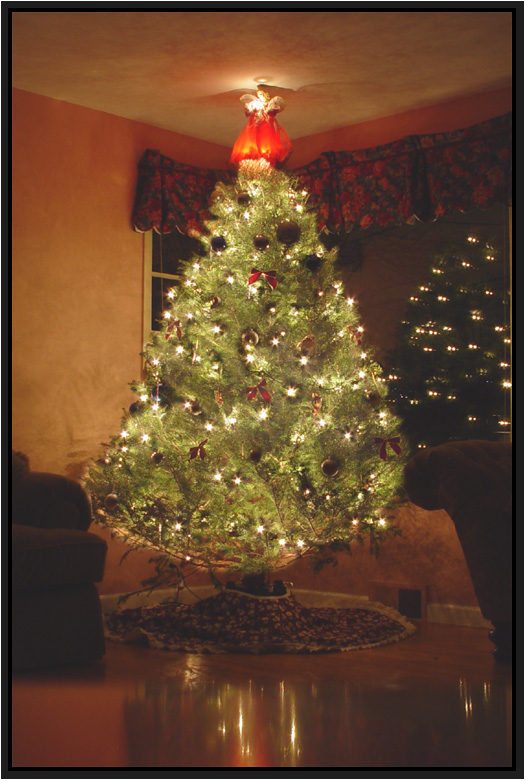 <b>Let there be Light</b><br><font size=2><i>ruddyone
