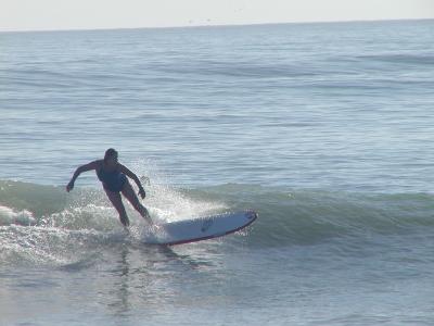 P1010007.JPG