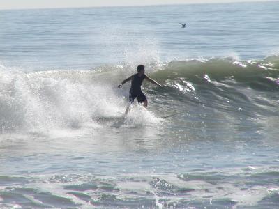 P1010047.JPG