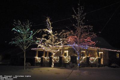 xmaslights49.jpg