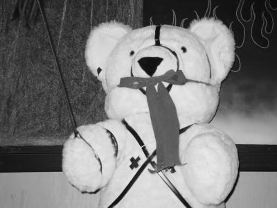 Dsc06007.jpg Support our rights to keep and arm Bears