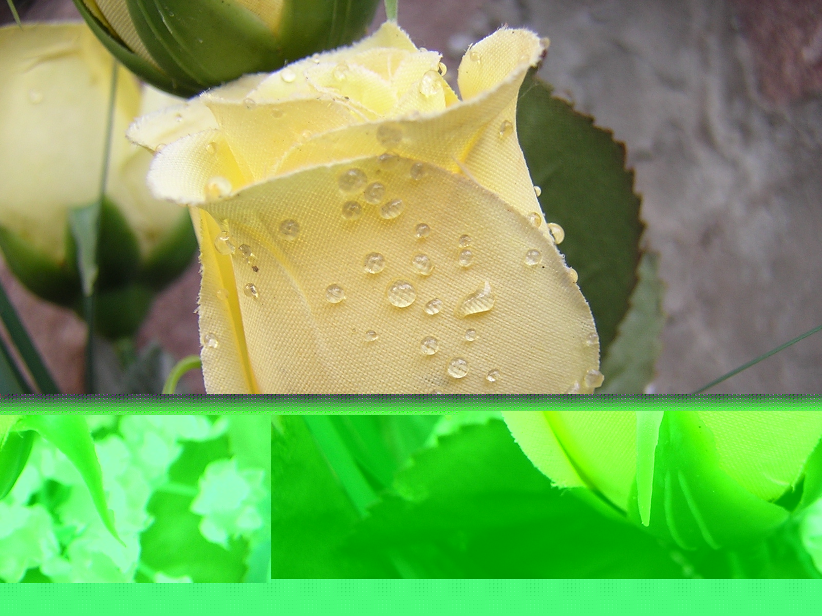 PLASTIC & DEW