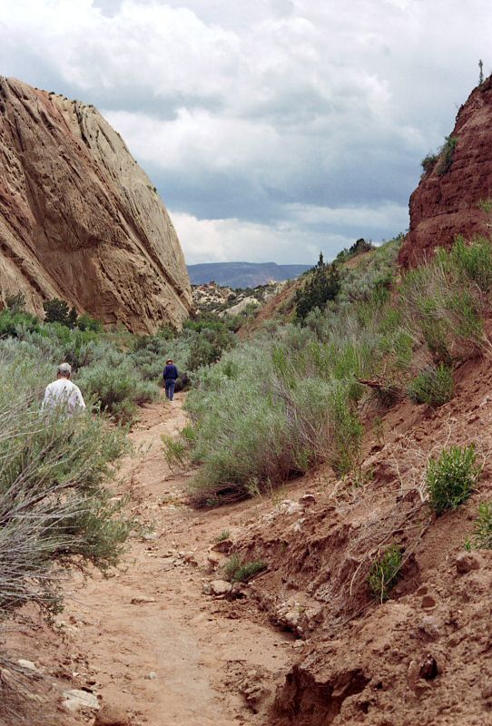 rocks along Desert Voices Trail