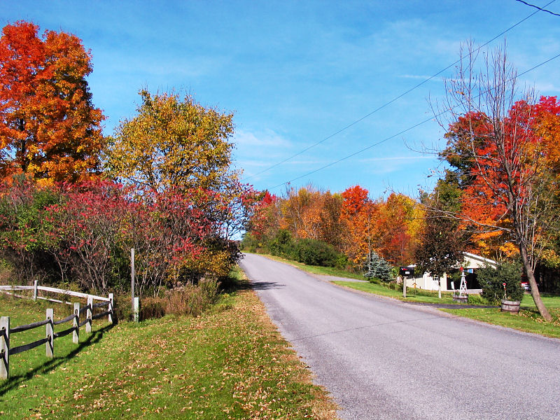 Autumn Scenery