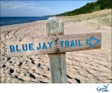 Blue Jay Trail