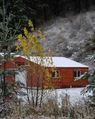 Change of Seasons: McCurdy's new shop DSC_0029.jpg