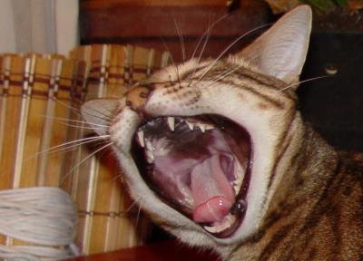 Ethel Big Mouth